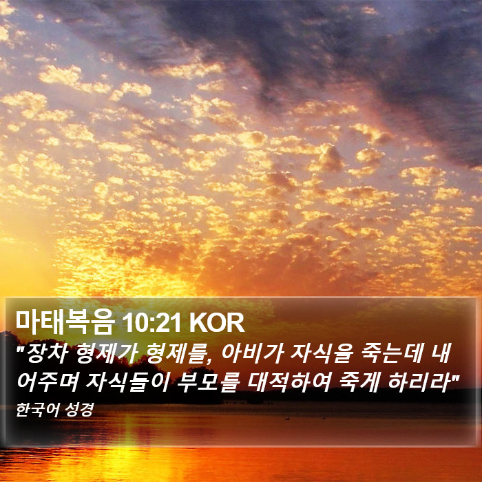 마태복음 10:21 KOR Bible Study