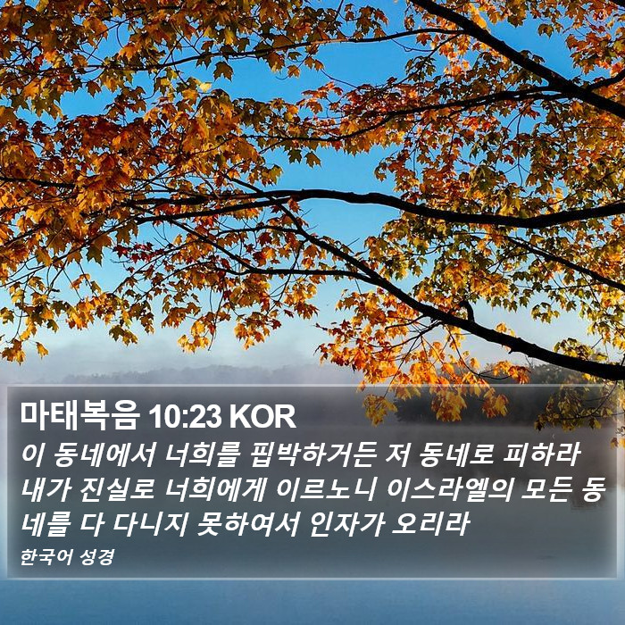 마태복음 10:23 KOR Bible Study