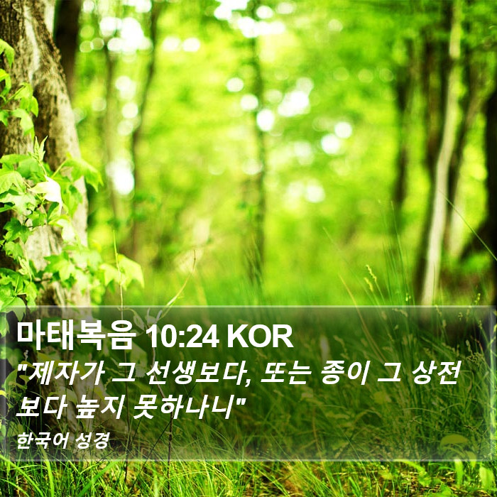 마태복음 10:24 KOR Bible Study