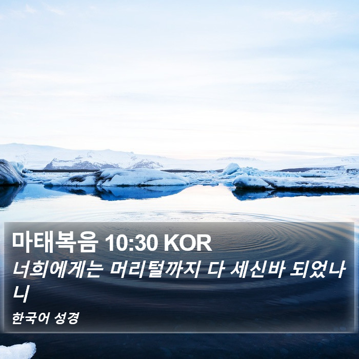 마태복음 10:30 KOR Bible Study