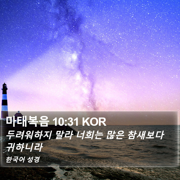 마태복음 10:31 KOR Bible Study