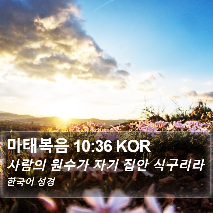 마태복음 10:36 KOR Bible Study