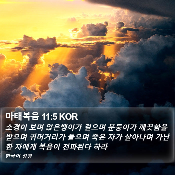 마태복음 11:5 KOR Bible Study