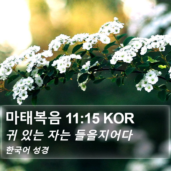 마태복음 11:15 KOR Bible Study