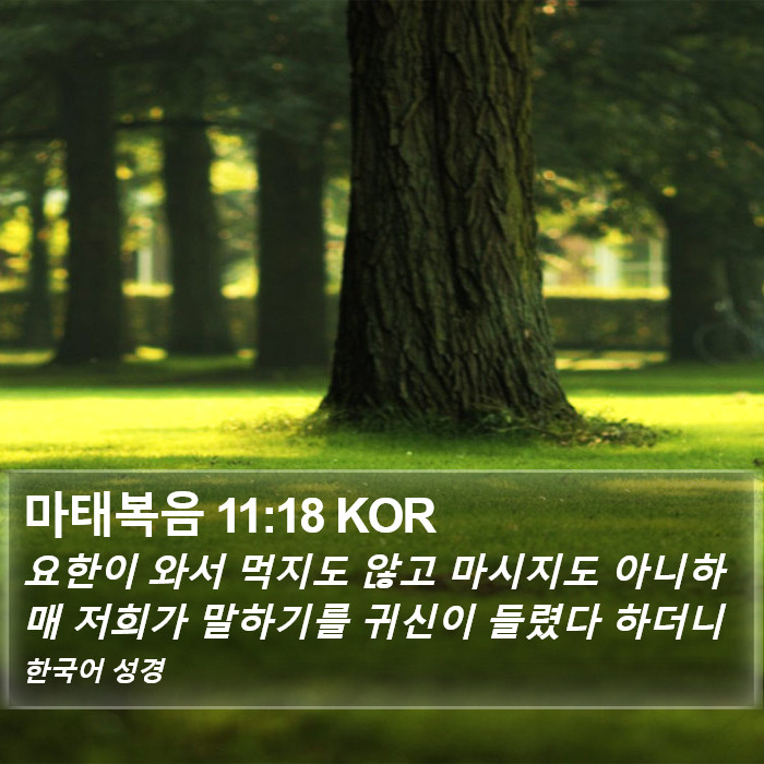 마태복음 11:18 KOR Bible Study