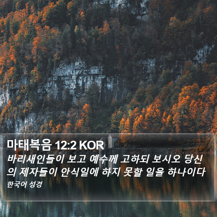 마태복음 12:2 KOR Bible Study