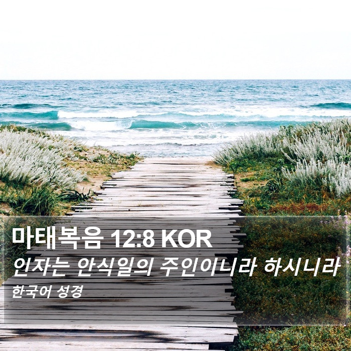 마태복음 12:8 KOR Bible Study