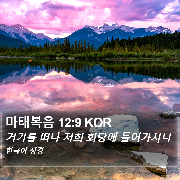 마태복음 12:9 KOR Bible Study