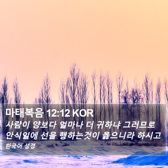 마태복음 12:12 KOR Bible Study