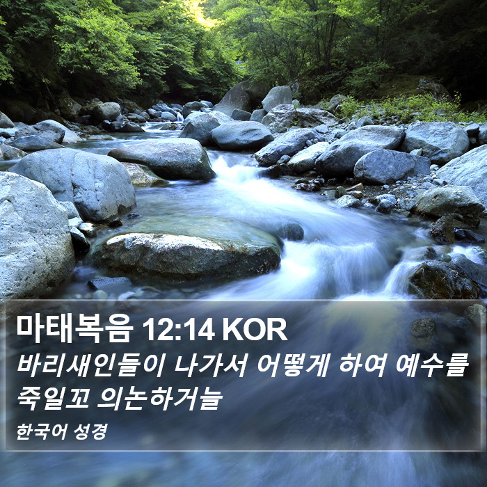 마태복음 12:14 KOR Bible Study