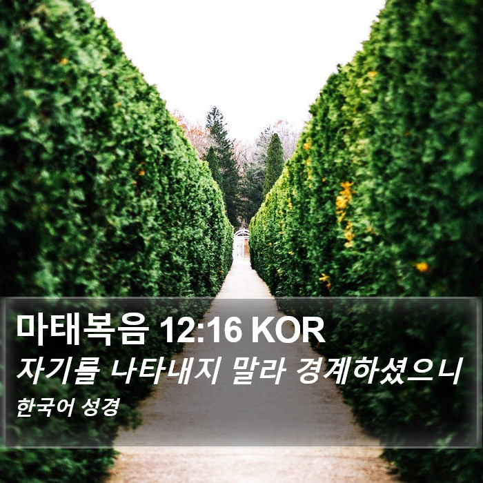 마태복음 12:16 KOR Bible Study