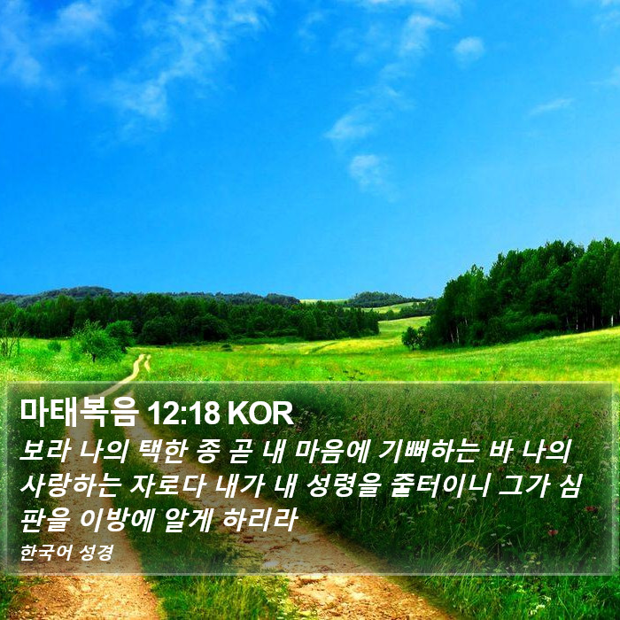 마태복음 12:18 KOR Bible Study