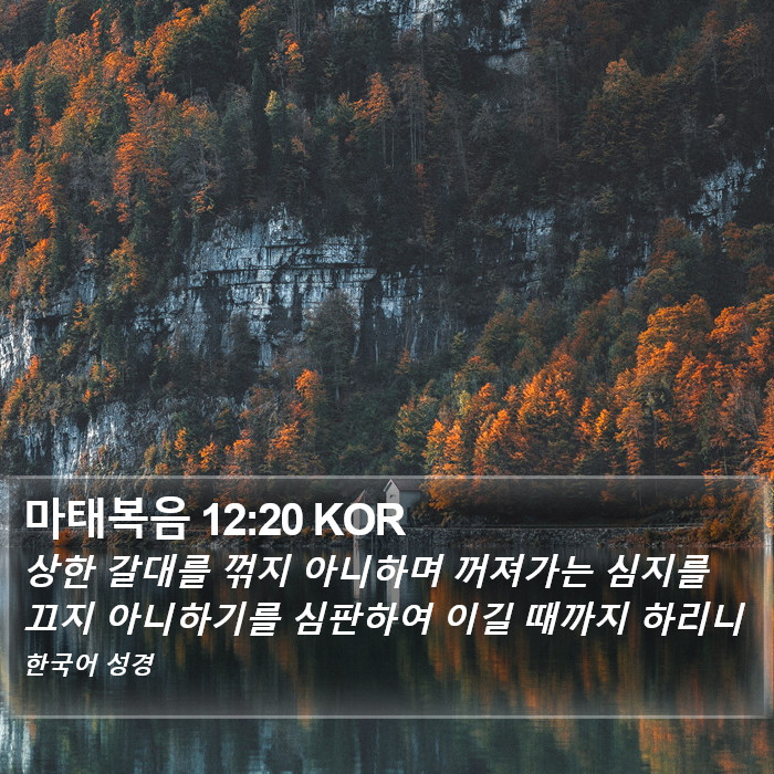 마태복음 12:20 KOR Bible Study