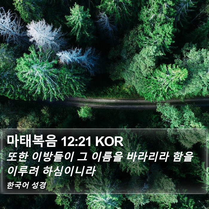 마태복음 12:21 KOR Bible Study