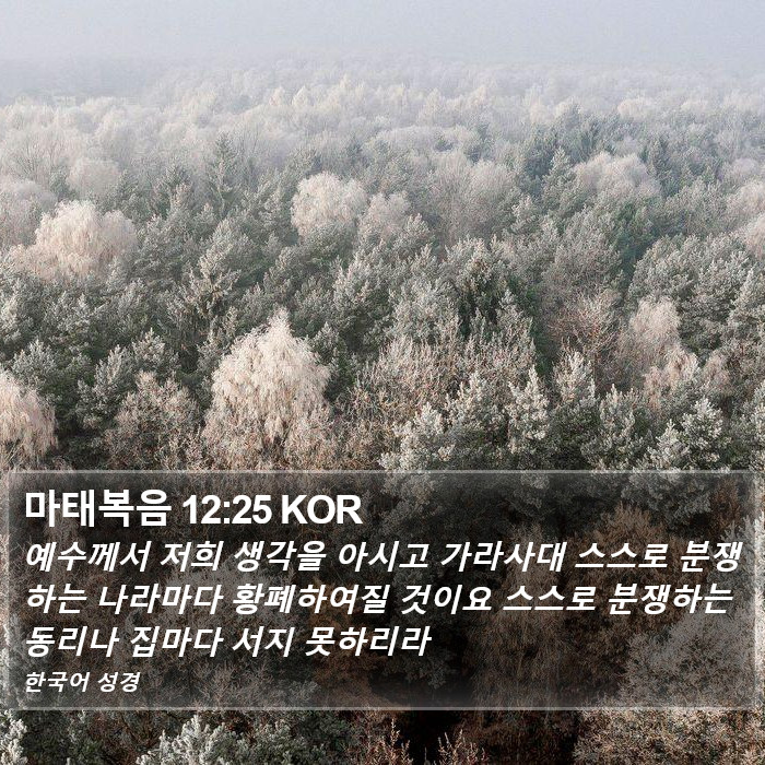 마태복음 12:25 KOR Bible Study