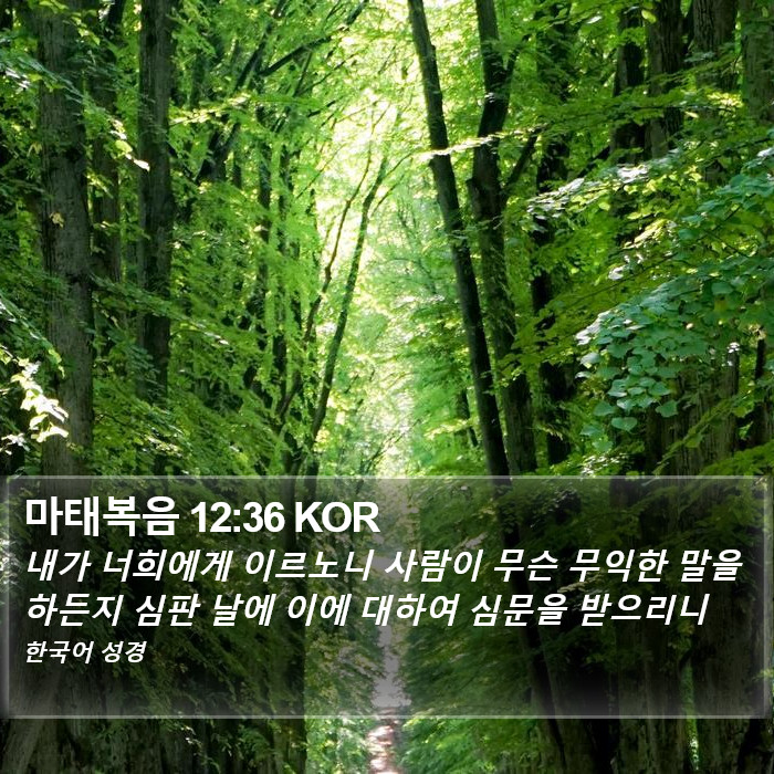 마태복음 12:36 KOR Bible Study