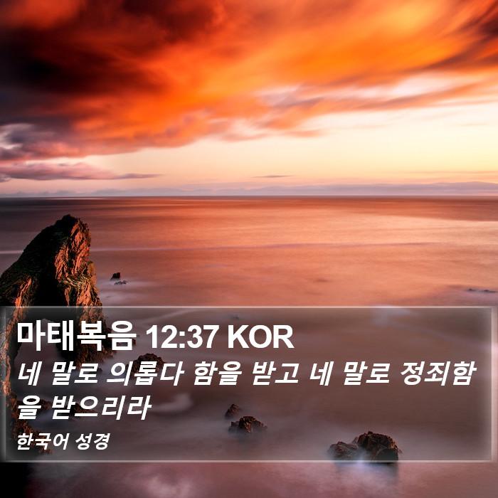 마태복음 12:37 KOR Bible Study