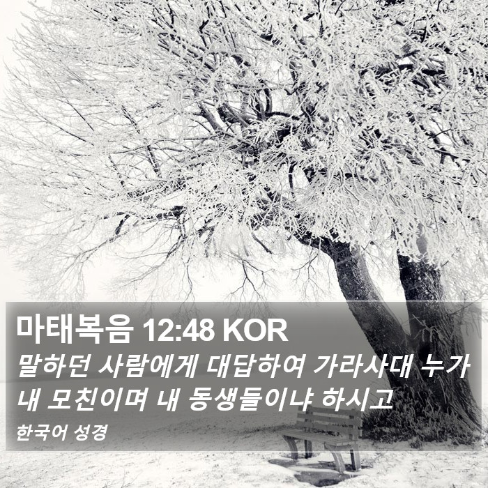 마태복음 12:48 KOR Bible Study