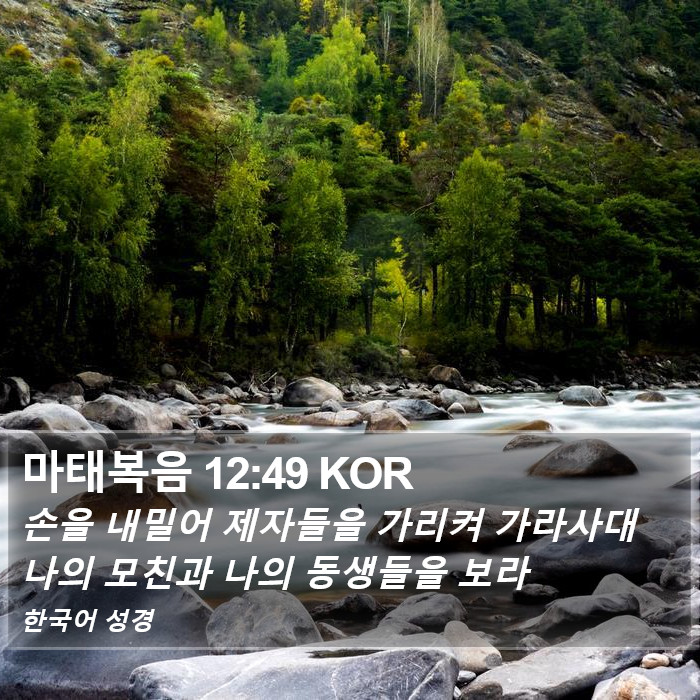 마태복음 12:49 KOR Bible Study