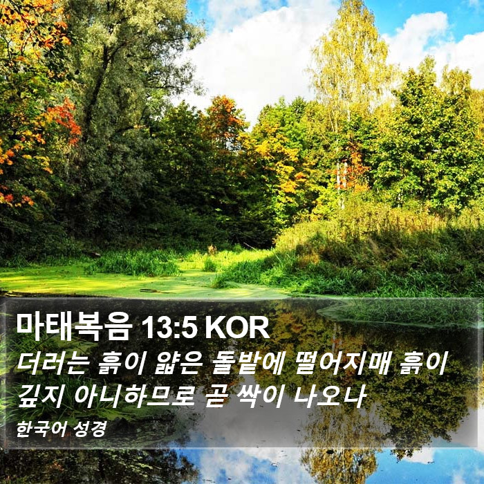 마태복음 13:5 KOR Bible Study