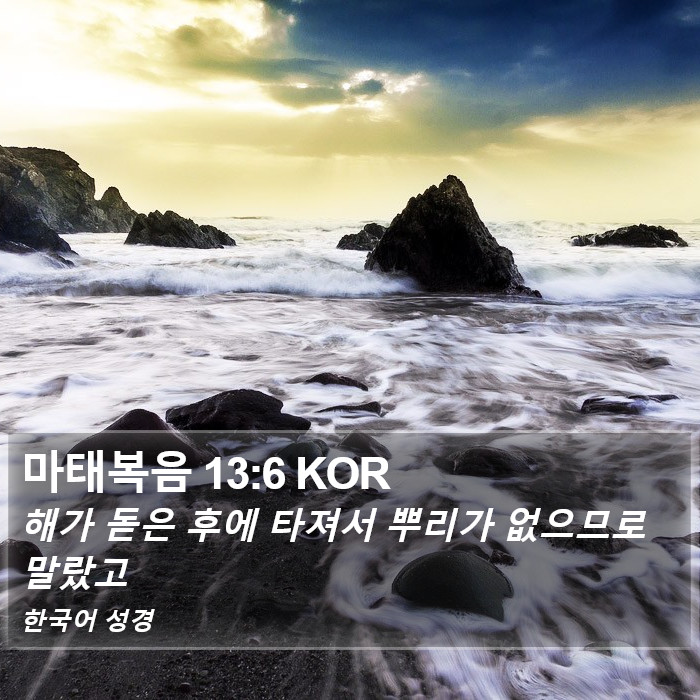 마태복음 13:6 KOR Bible Study