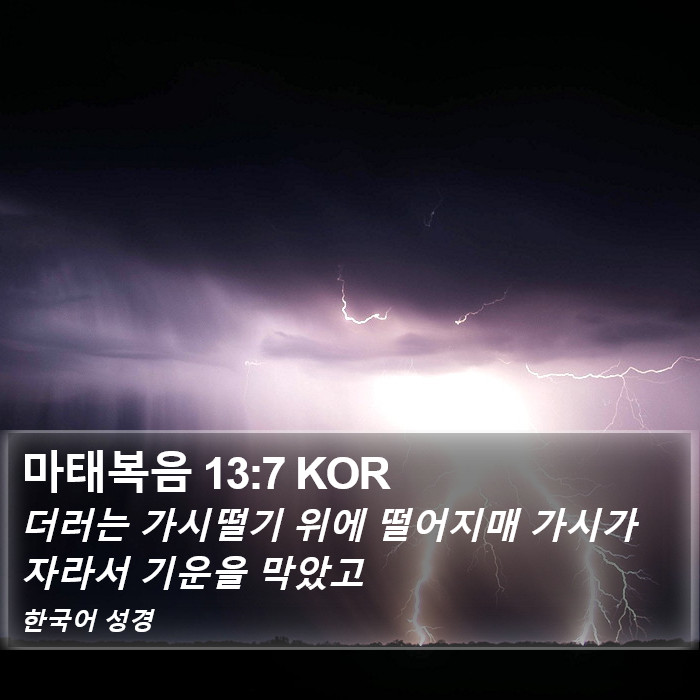 마태복음 13:7 KOR Bible Study