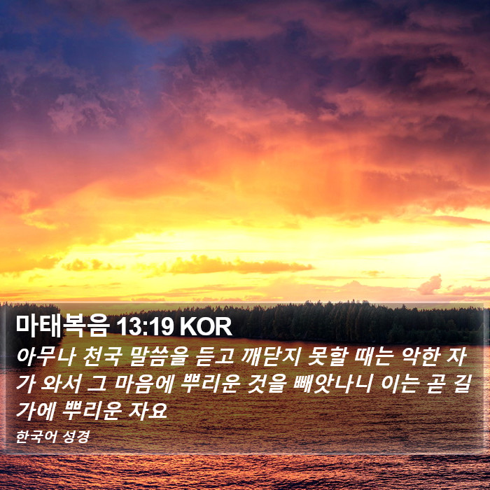 마태복음 13:19 KOR Bible Study