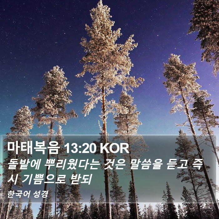 마태복음 13:20 KOR Bible Study