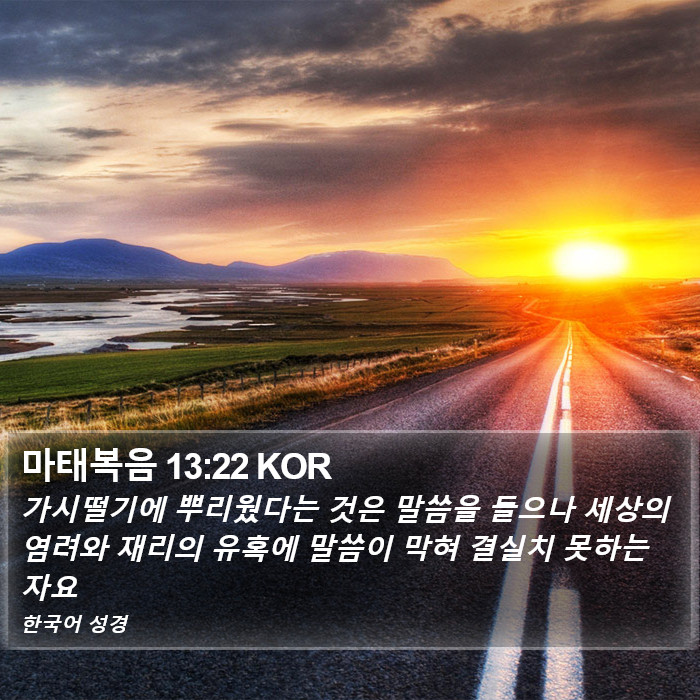 마태복음 13:22 KOR Bible Study