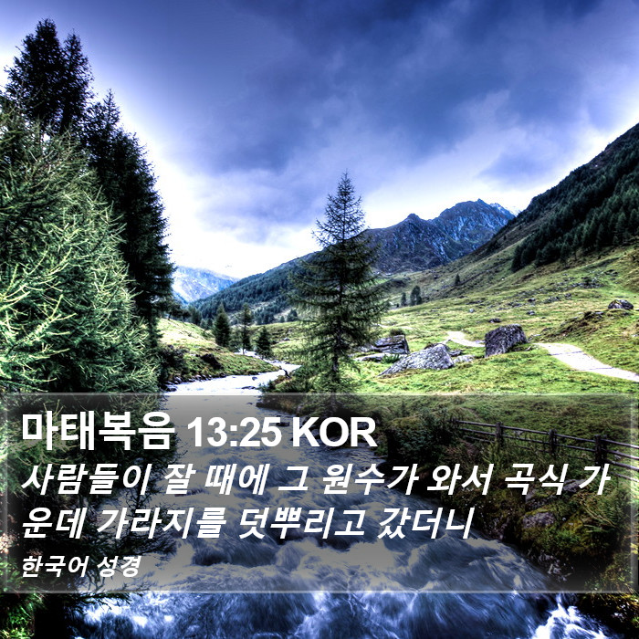 마태복음 13:25 KOR Bible Study