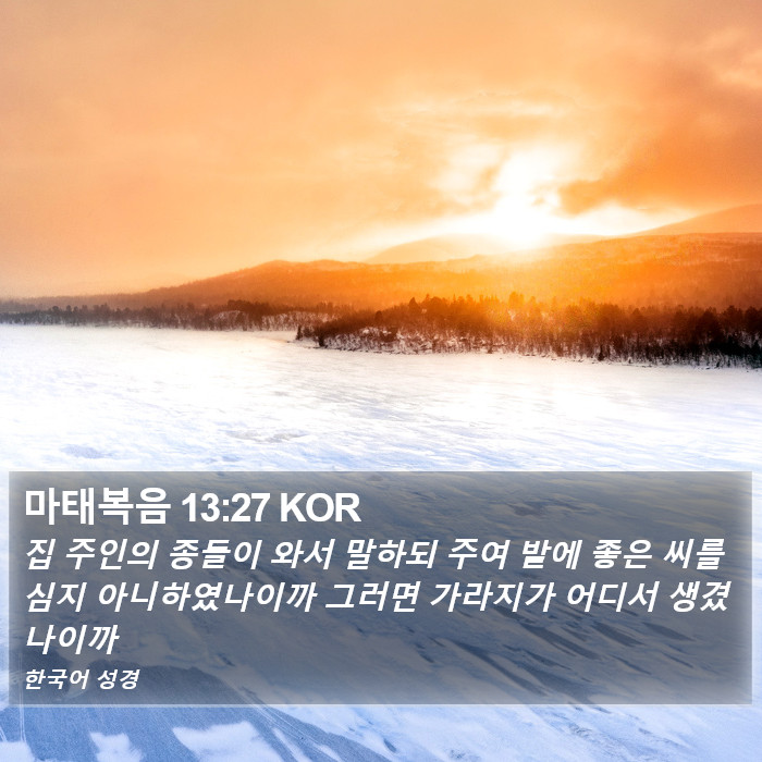 마태복음 13:27 KOR Bible Study