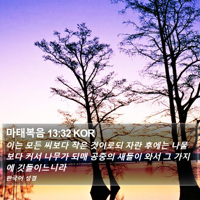 마태복음 13:32 KOR Bible Study