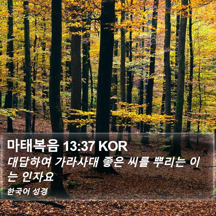 마태복음 13:37 KOR Bible Study