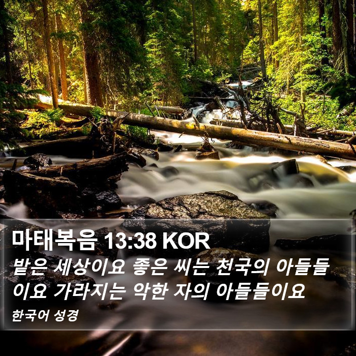 마태복음 13:38 KOR Bible Study