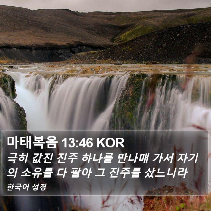 마태복음 13:46 KOR Bible Study