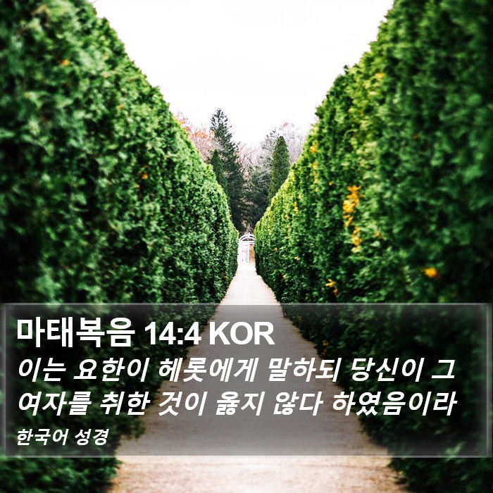 마태복음 14:4 KOR Bible Study