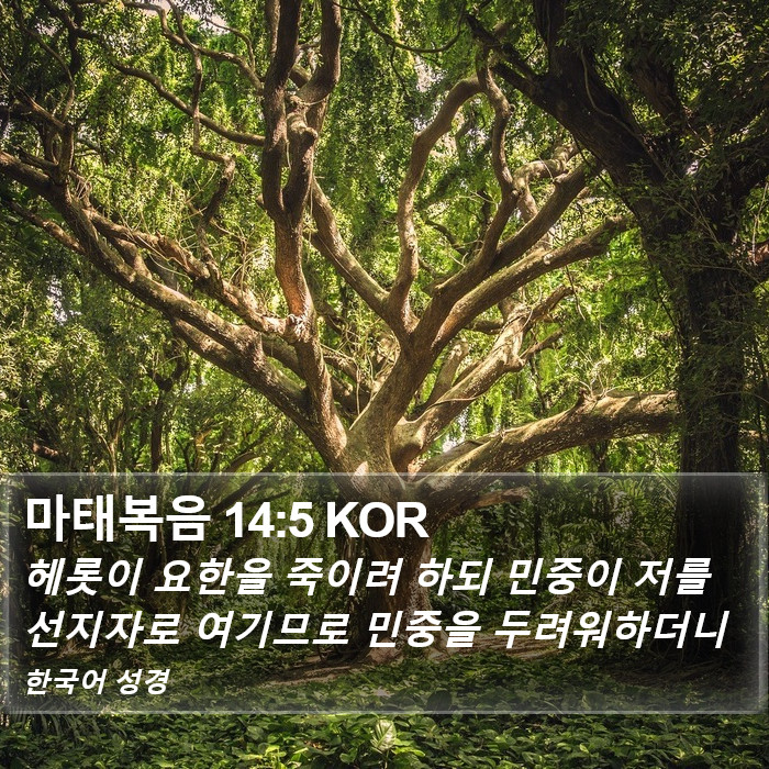 마태복음 14:5 KOR Bible Study