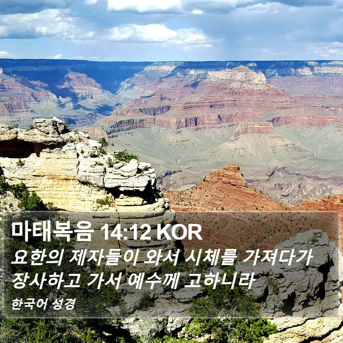 마태복음 14:12 KOR Bible Study