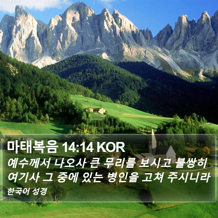 마태복음 14:14 KOR Bible Study