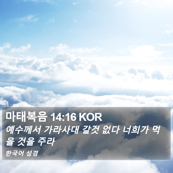 마태복음 14:16 KOR Bible Study