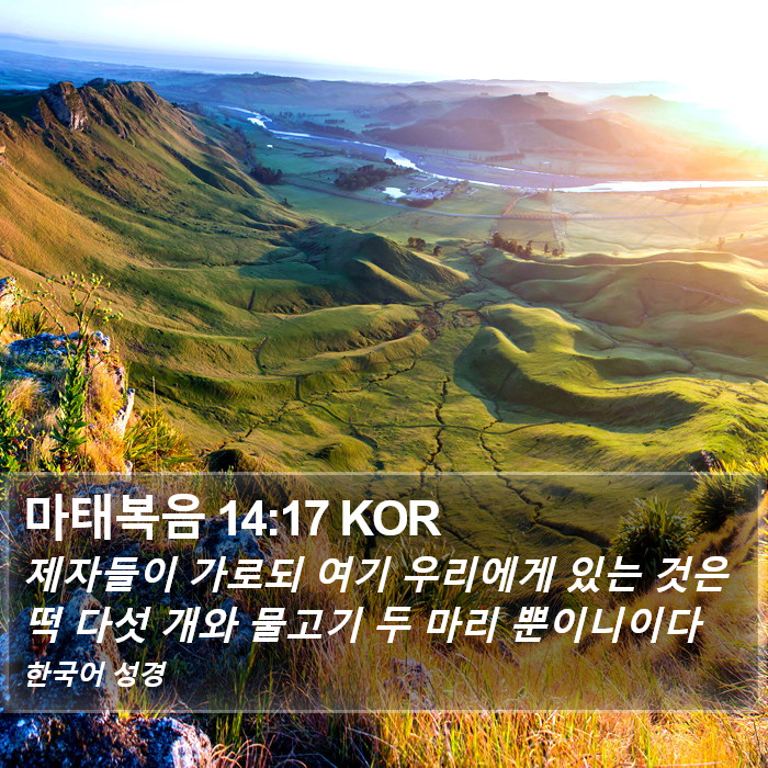 마태복음 14:17 KOR Bible Study