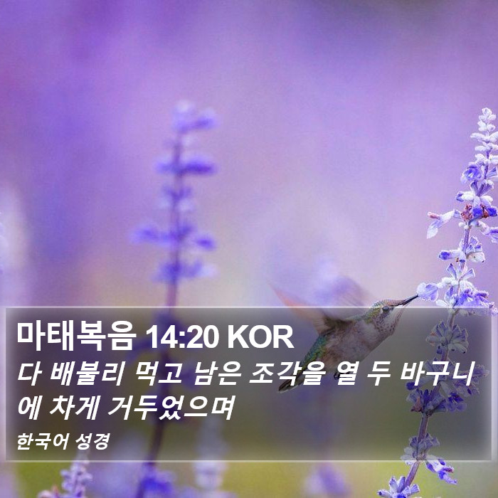 마태복음 14:20 KOR Bible Study