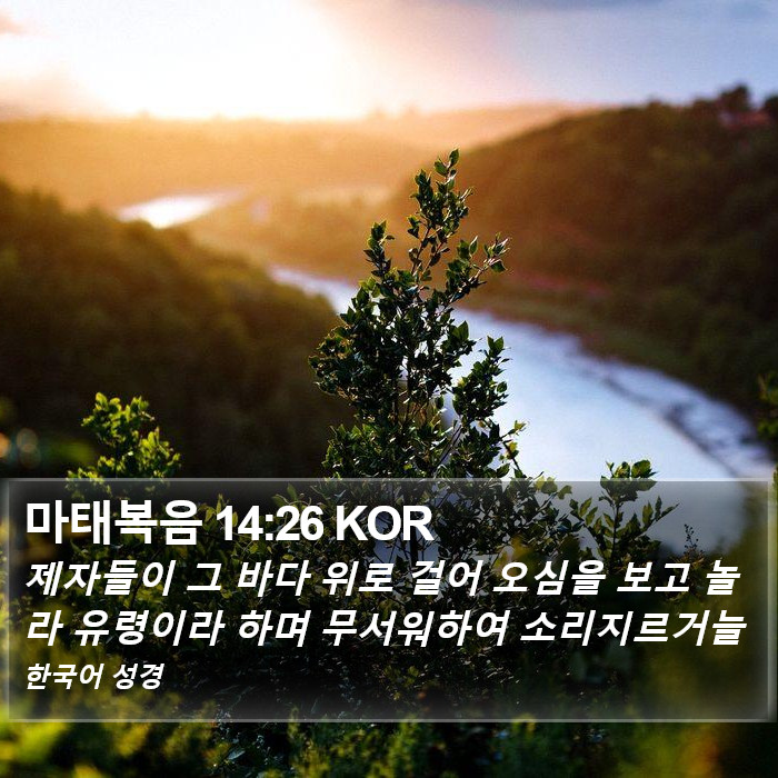 마태복음 14:26 KOR Bible Study