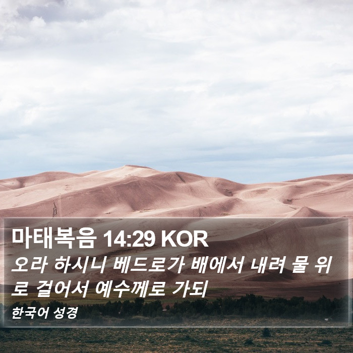 마태복음 14:29 KOR Bible Study