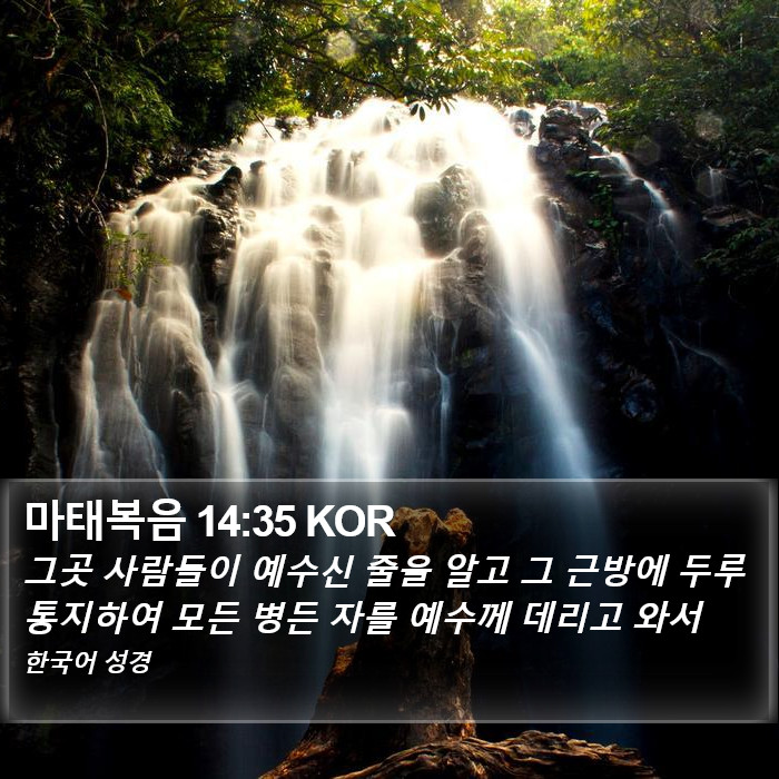 마태복음 14:35 KOR Bible Study