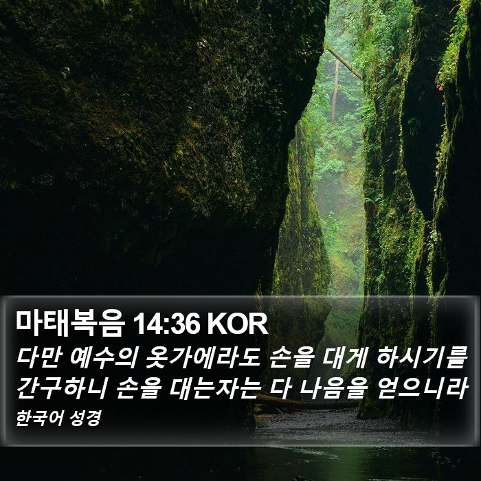 마태복음 14:36 KOR Bible Study