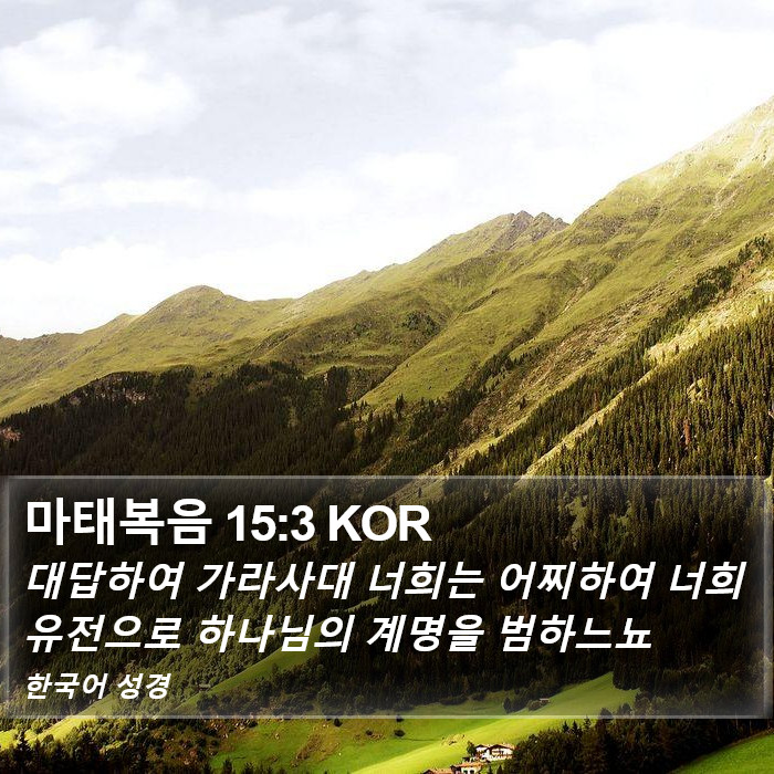 마태복음 15:3 KOR Bible Study