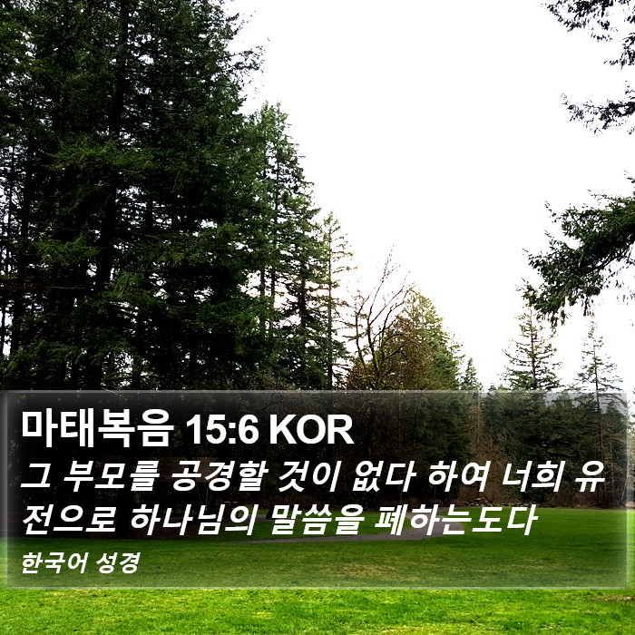 마태복음 15:6 KOR Bible Study