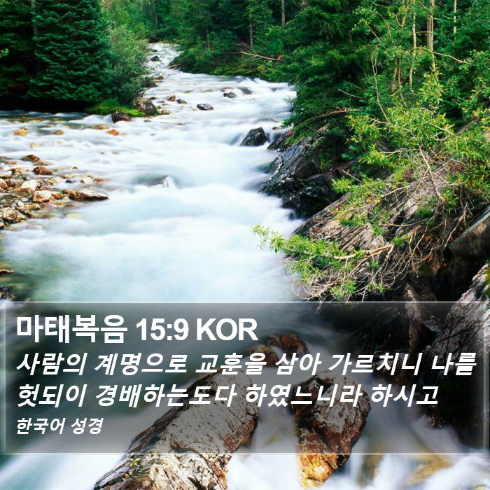 마태복음 15:9 KOR Bible Study