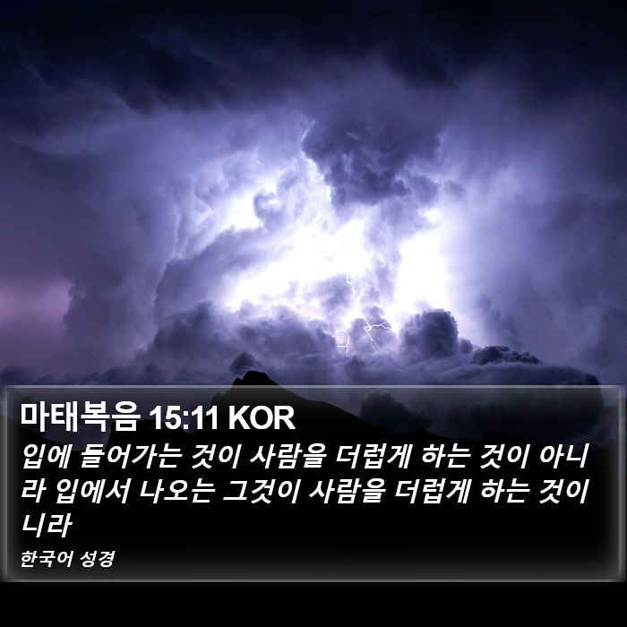 마태복음 15:11 KOR Bible Study